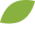 treering.com-logo